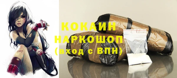 спайс Богданович