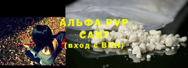 спайс Богданович