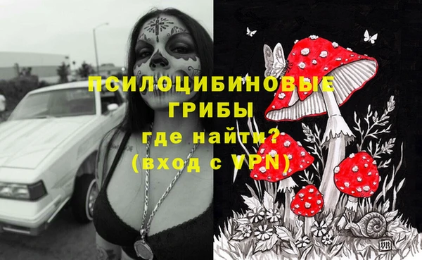 спайс Богданович