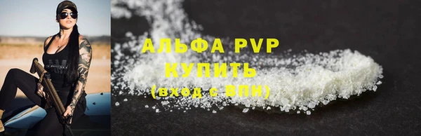 спайс Богданович