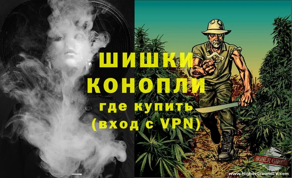 бошки Богородицк