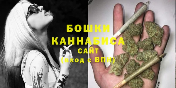 спайс Богданович