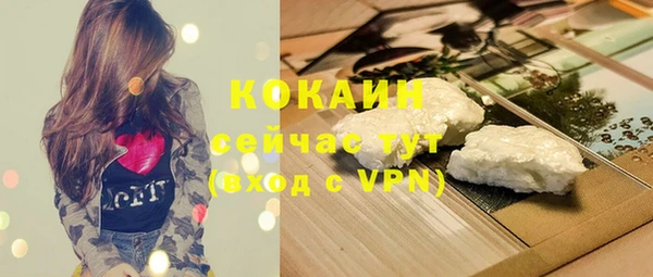 бошки Богородицк