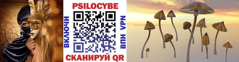 маркетплейс Telegram  Киренск  гидра   Галлюциногенные грибы Cubensis  где продают  